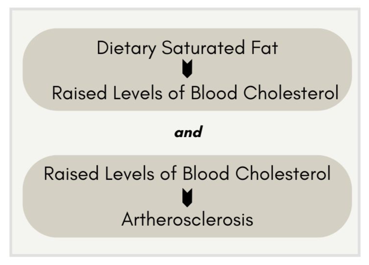 Does Dietary Saturated Fat Leads to Artherosclerosis Does Dietary Saturated Fat Leads to Artherosclerosis
