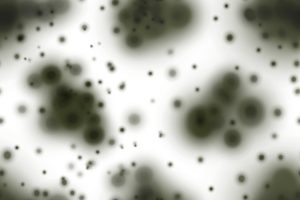 How Mold Exposure Triggers Chronic Inflammatory Response Syndrome (CIRS)